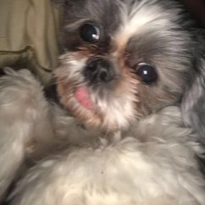 Meet your Posher, Aiden